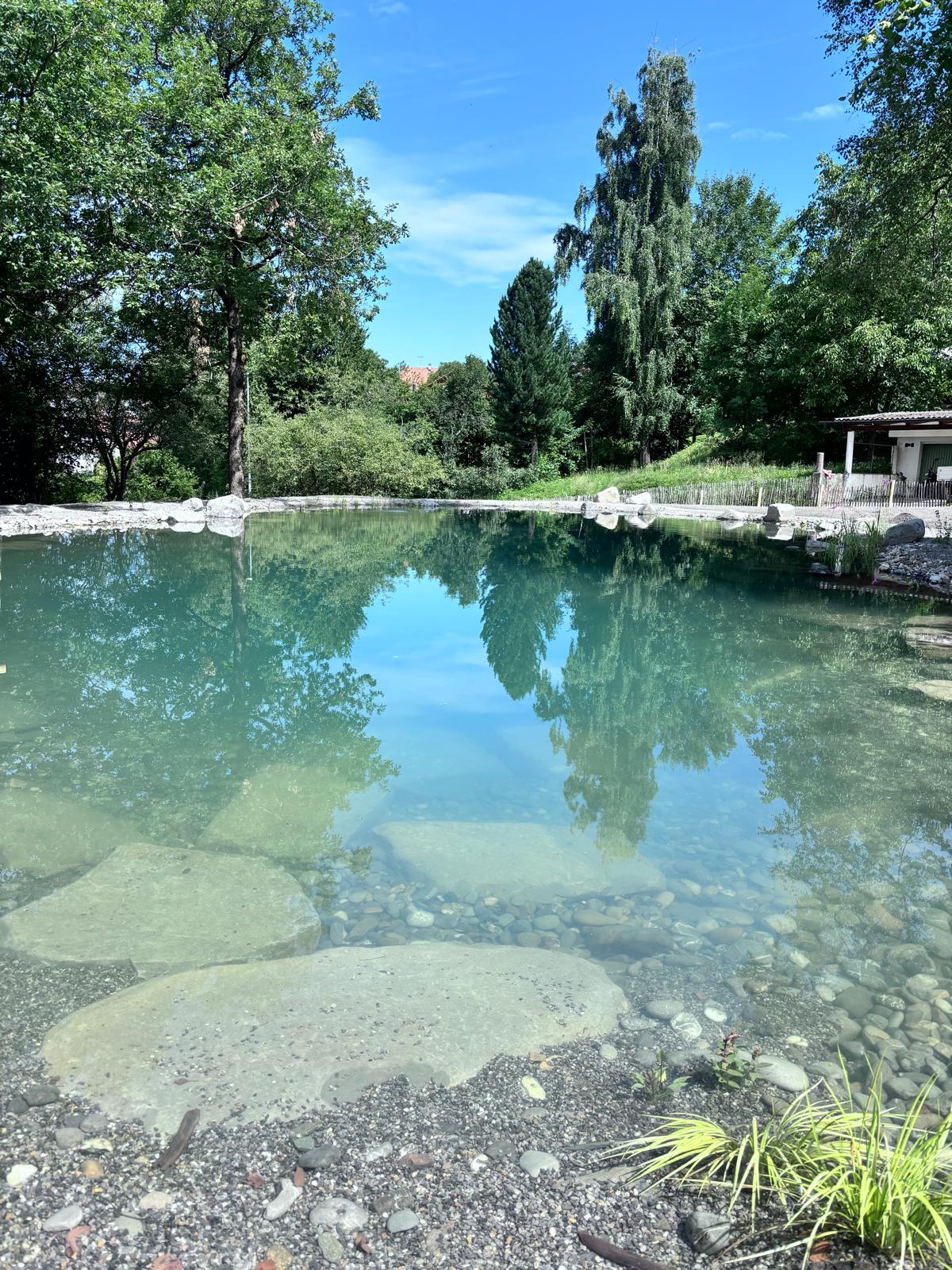 Naturteich mit Landschaft